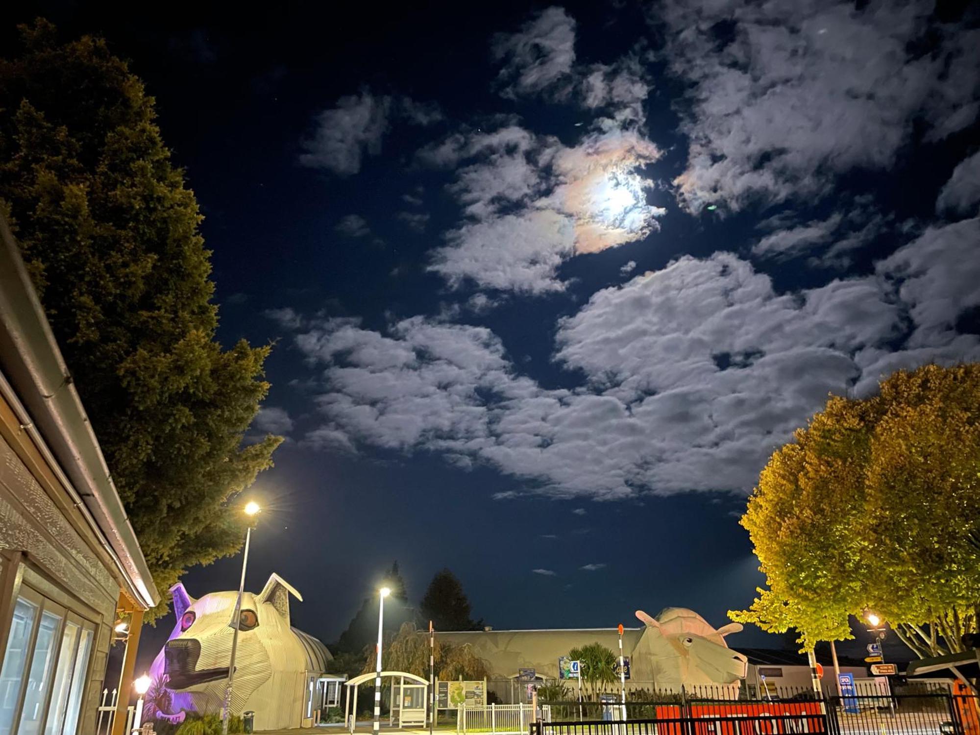 Tirau Motor Inn Exteriér fotografie